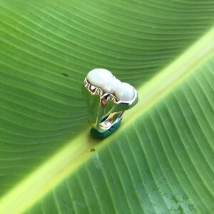 K&ouml;nnte beinhalten: Ein silberner Ring mit zwei gro&szlig;en, wei&szlig;en, oval geformten Steinen. Der Ring ist auf einer gr&uuml;nen Oberfl&auml;che vor dem Hintergrund eines gro&szlig;en, gr&uuml;nen Blattes platziert. Das Design des Rings ist aufwendig und detailliert.