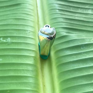 No 1225 Natural Tennessee River Pearl and Australian Blue Sapphire in a 950 Sterling Silver Ring Size 8 image 6