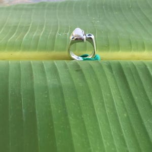 No 1225 Natural Tennessee River Pearl and Australian Blue Sapphire in a 950 Sterling Silver Ring Size 8 image 2