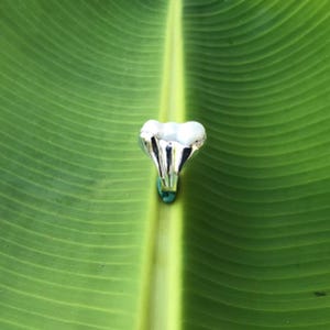K&ouml;nnte beinhalten: Ein Silberring mit einem einzigartigen, organischen Design, das eine Ansammlung wei&szlig;er, perlenartiger Elemente aufweist. Der Ring ist auf einem leuchtend gr&uuml;nen Blatt platziert, das seine komplizierten Details und seine reflektierende Oberfl&auml;che hervorhebt. Das Design des Rings erinnert an eine Blume.
