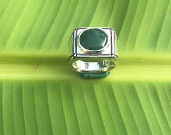 No 1178 Natural Green British Columbia Jade in a 950 Sterling Silver Ring