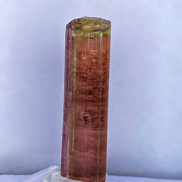 When one has tasted watermelon, he knows what the angels eat.  Mark Twain, Tourmaline bi-color. from vTourmaline, Pederneira Mine,