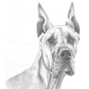Great Dane on Kona Cotton, Cotton Blend or Duck Canvas Fabric Panel to Sew a Quilt, Pillow or Tote or Crafts 14326-3256