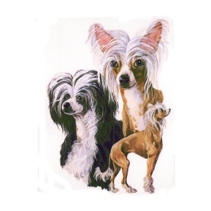 Chinese Crested on Kona Cotton, Cotton Blend or Duck Canvas Fabric Panel to Sew a Quilt, Pillow or Tote or Crafts 379
