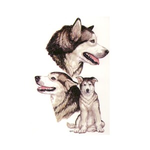 Puede incluir: Una pintura de tres malamutes de Alaska. El perro m&aacute;s grande est&aacute; mirando hacia la derecha, con la cabeza ligeramente inclinada. El perro del medio est&aacute; mirando hacia la izquierda, con la cabeza ligeramente inclinada. El perro m&aacute;s peque&ntilde;o est&aacute; sentado, mirando hacia adelante. Los tres perros son blancos y grises.
