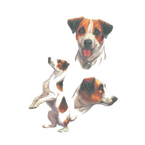 Duck Canvas Fabric Panel to Sew a Quilt Parson Russell Terrier on Kona Cotton Cotton Blend Pillow orTote Jack Russell Terrier D0088