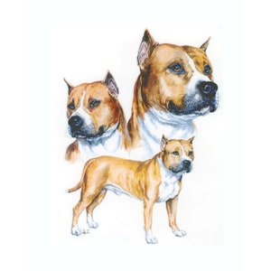 Staffordshire Bull Terrier on Kona Cotton, Cotton Blend or Duck Canvas Fabric Panel to Sew a Quilt, Pillow or Tote or Crafts 366