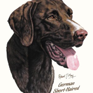 German Shorthaired Pointer Fabric Panel - Quilting A9526E