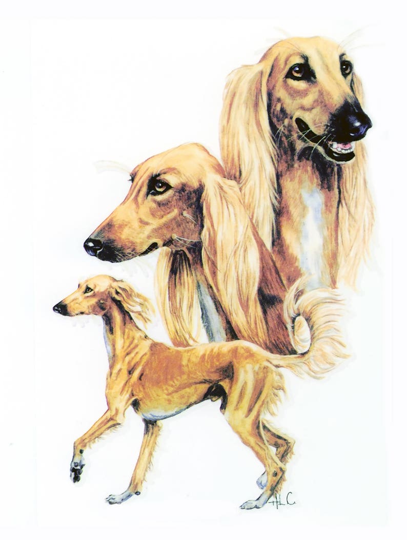 Saluki Fabric Panel Saluki Quilt Fabric Saluki Pillow Etsy