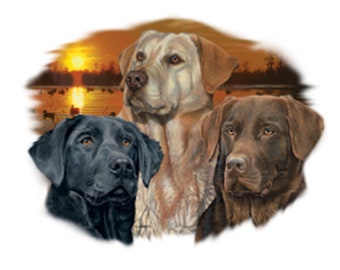Labrador Retrievers 'SUNSET' on Short Sleeve Unisex T-Shirt 15371HL2