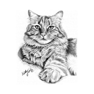 Tabby Cat Print on Unisex or Ladies T-shirt