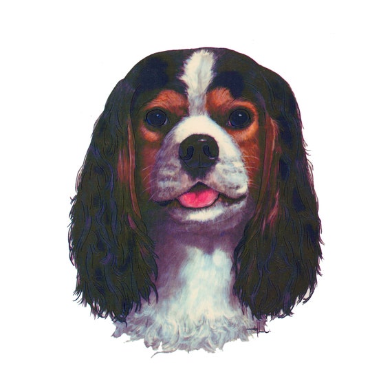 etsy cavalier king charles spaniel