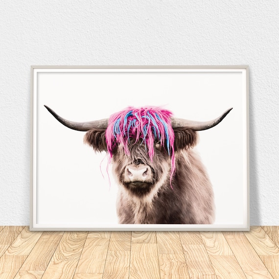 Stylish Highland Cow Print Modern Art Living Room Decor Hairy Etsy