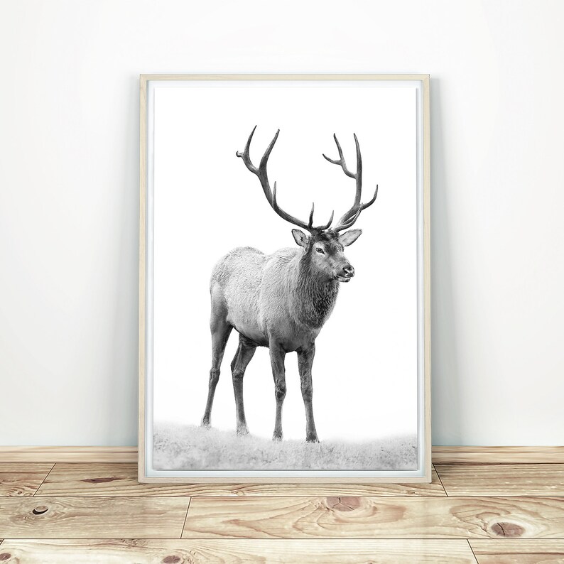 Deer Print Black And White Elk Printable Stag Wall Art Deer | Etsy