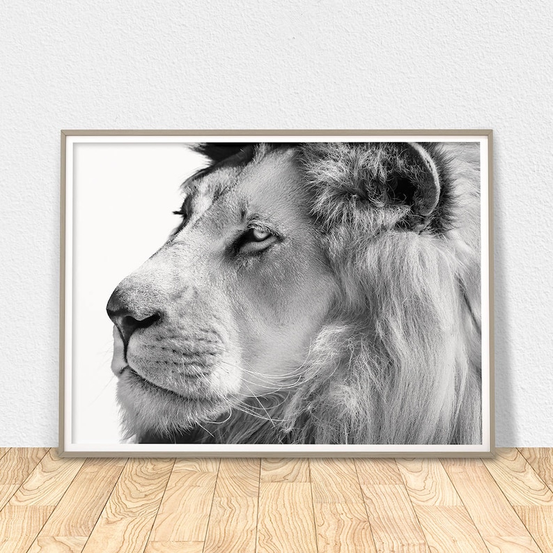 African Lion Wall Art Printable Poster Decor Image 0