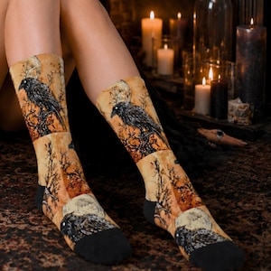 Edgar Allan Poe Raben-Kunstsocken, Gothic-Halloween-Socken, Original-Rabengemälde, Geschenkidee für Dark-Academia-Fans, Unisex-Hohe Socken