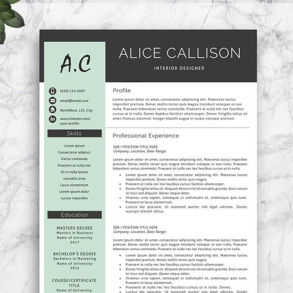 SALE: Creative Resume Template, Professional Resume Template, Instant Download Resume Template for Word & Pages. Complete 1,2,3 Pages.