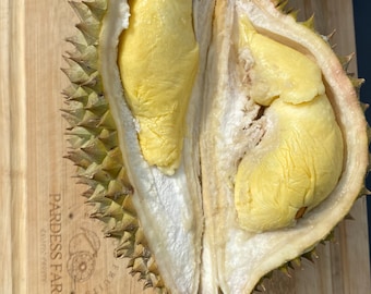 Durian Monthong recién recogido