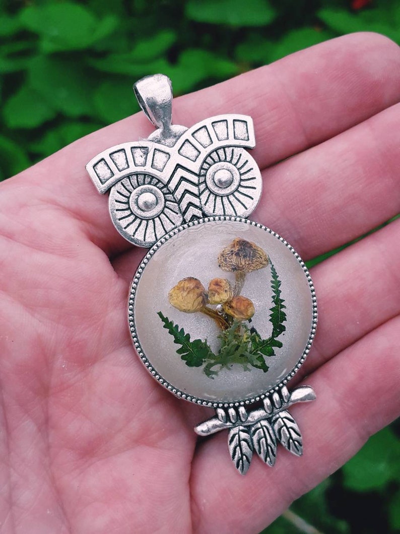 Silver owl necklace real mushroom necklace unique resin Etsy