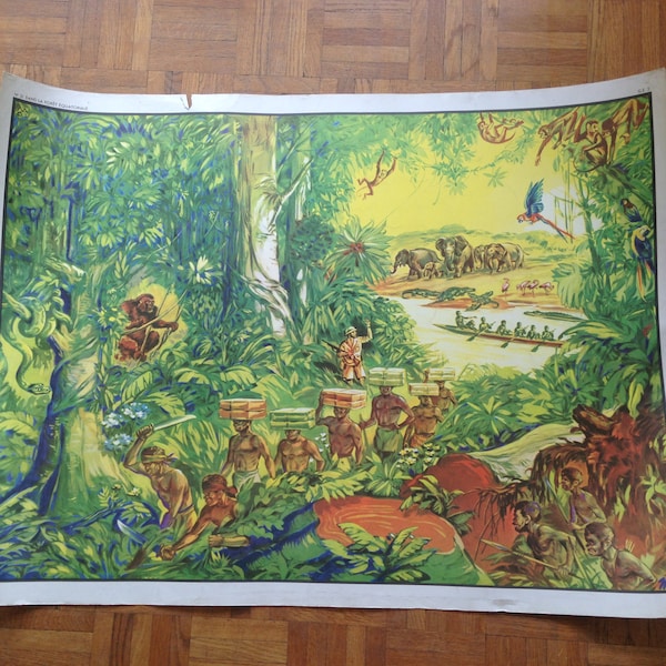 Affiche scolaire Géographie 1950, La rizière, Dans la forêt équatoriale, décoration murale, cadeau professeur, rentrée des classes, retraite