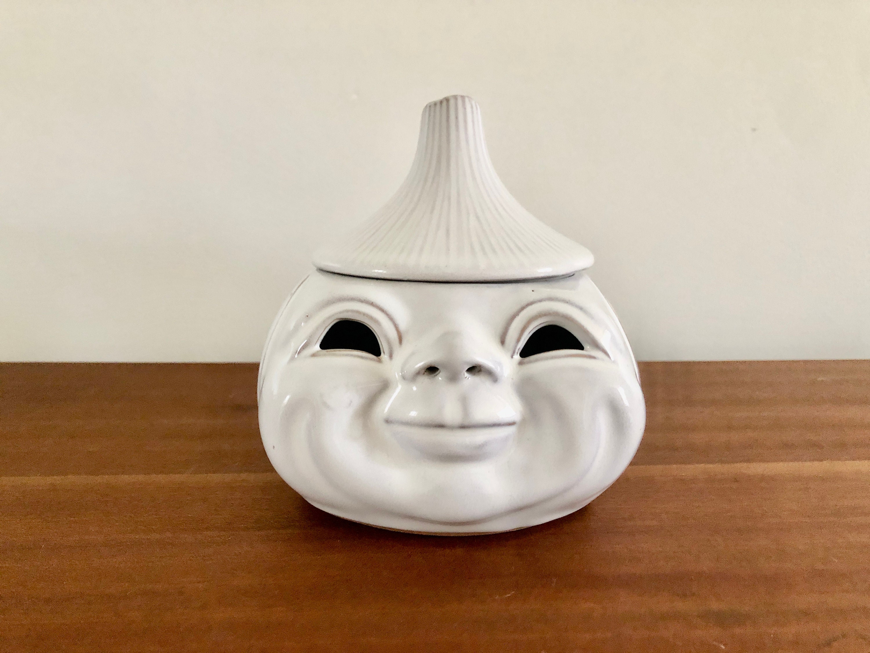 Boite Céramique Vintage, Décoration Cuisine Shabby, Rangement Épice Condiment, Boite Oignon Barbotin