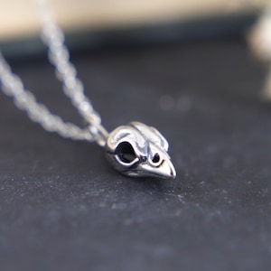 Sterling Silver Bird Skull Necklace: Dark Cottagecore Pendant