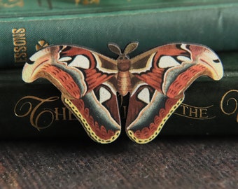 Atlas Moth Badges Wooden Moth Brooch Brooches For Women Entomology Badge Brown Butterfly Nature Lover Gifts Cottage Core Dark Academia Gift