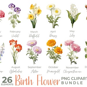 Imágenes prediseñadas de flores del mes de nacimiento, PNG de flores de nacimiento, ramo de flores del mes de nacimiento, regalo del día de la madre, flores del mes de nacimiento de acuarela, imágenes prediseñadas florales