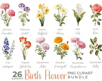 Birth Month Flower Clipart, Birth Flower PNG, Birth Month Flower Bouquet, Mother's Day Gift, Watercolor Birth Month Flowers, Floral Clipart