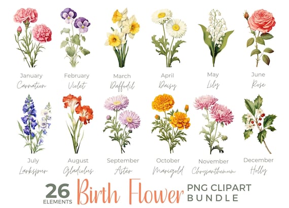 Birth Month Flower Clipart Birth Flower PNG Birth Month Flower Bouquet Mother s Day Gift Watercolor Birth Month Flowers Floral Clipart Etsy