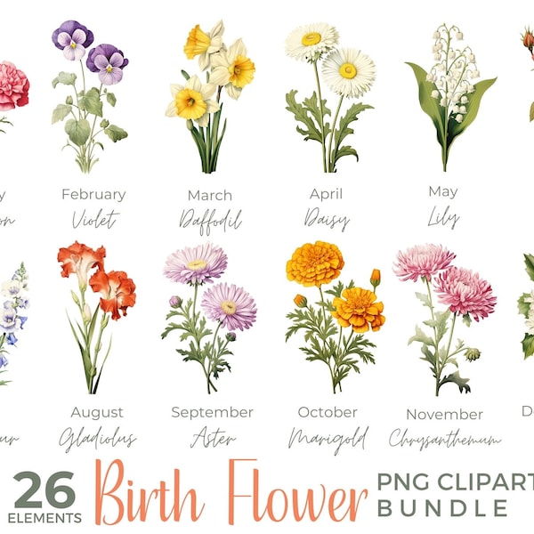 Birth Month Flower Clipart, Birth Flower PNG, Birth Month Flower Bouquet, Mother's Day Gift, Watercolor Birth Month Flowers, Floral Clipart