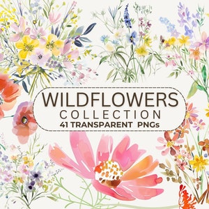 Wildflowers Clipart Wild flower PNG Colorful Bouquets Floral Clipart Watercolor Flower Elements PNG Watercolor Summer Wild-Flowers