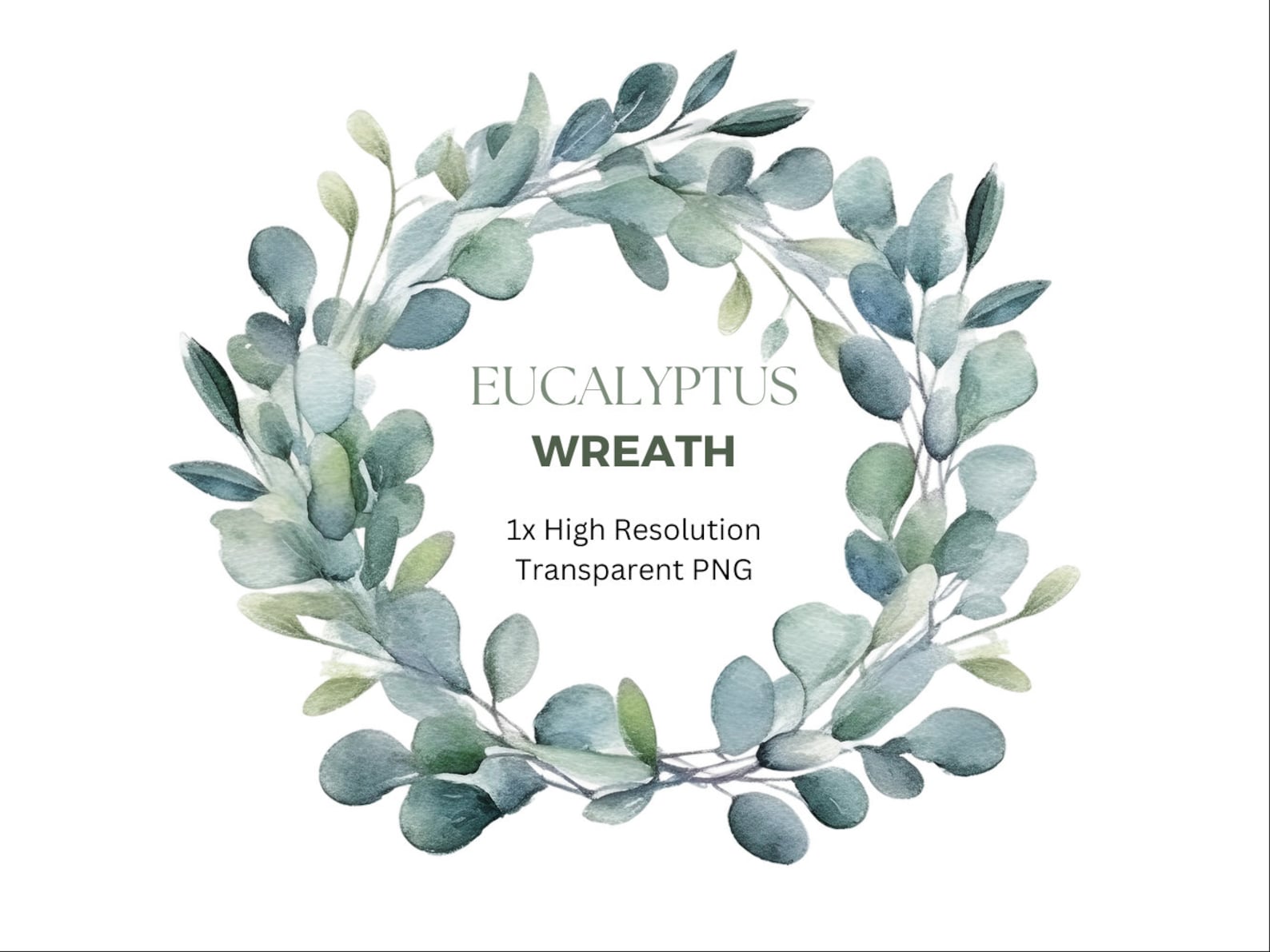 Watercolor Eucalyptus Wreath Clipart, Transparent Png, Greenery - Etsy