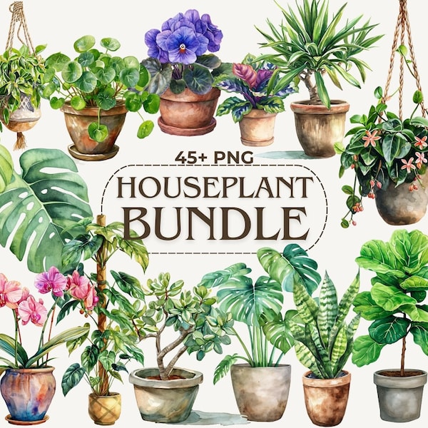 Potted Houseplant Clipart Bundle, Indoor Plant Transparent PNGs, Monstera Clipart, Digital Download, Scrapbooking, Sublimation, Stickers