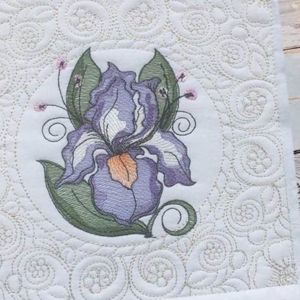 Iris Quilt Pattern Etsy