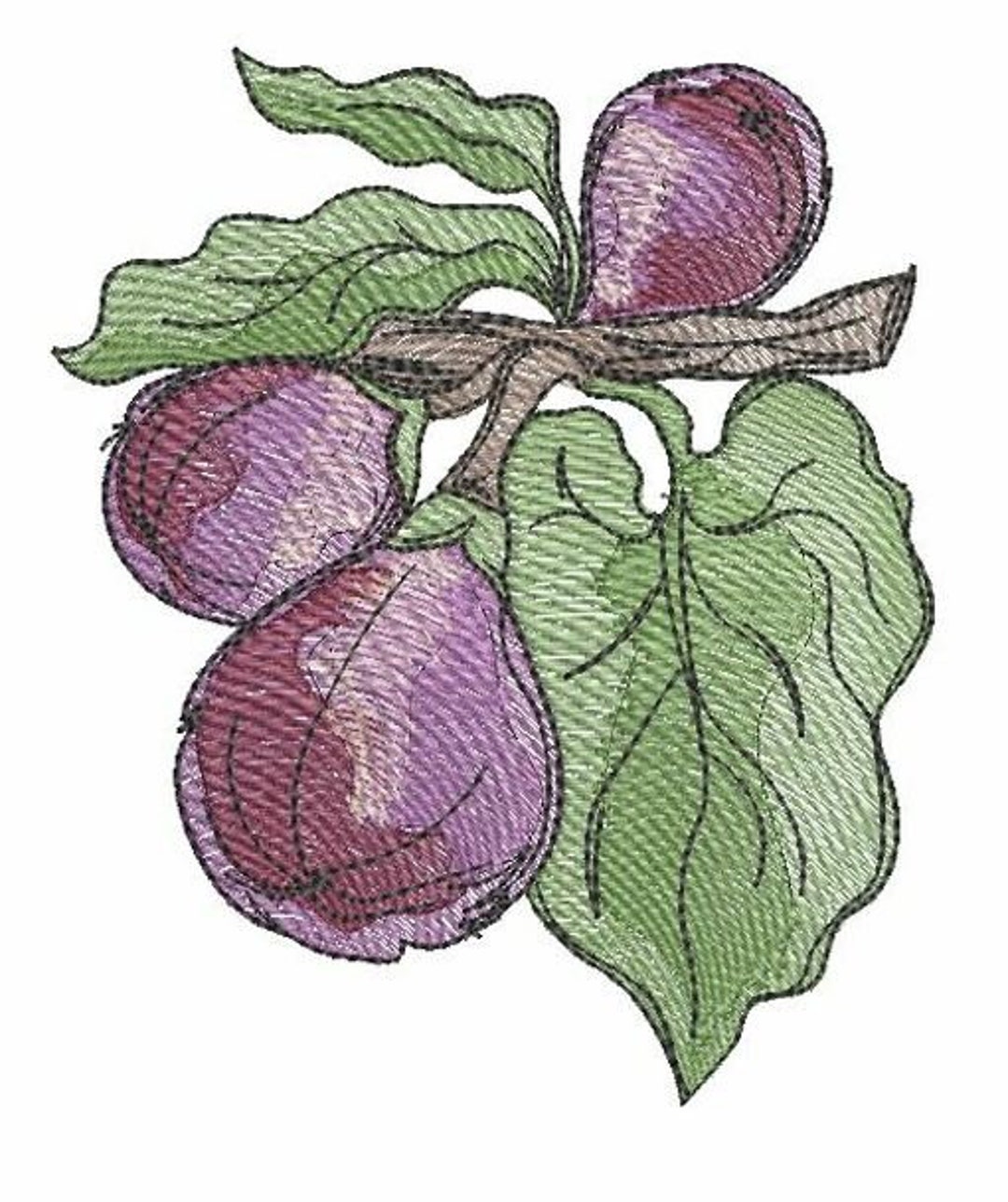 FIGS FRUIT EMBROIDERY Fits Into a 4x4 5x7 & Etsy