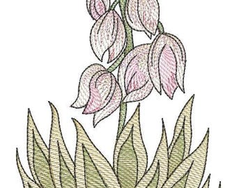 NUEVO MÉXICO - YUCCA - Costura, manualidades, bordados, regalos - Bordado a máquina descargable