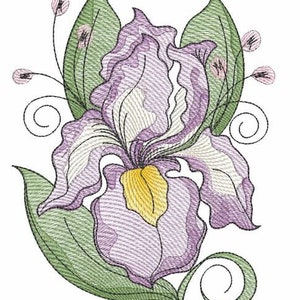 Peut inclure: Une fleur d'iris violette et blanche avec des accents jaunes, entourée de feuilles vertes et de délicats boutons roses.