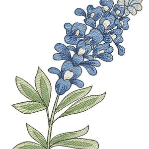 May include: A blue and white embroidered flower with green leaves. The flower is a bluebonnet, the state flower of Texas.