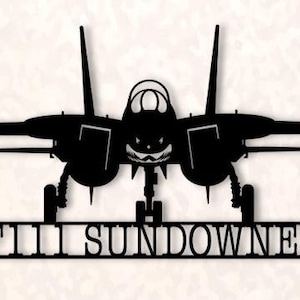 F-14 VF111 Sundowners Naval Aircraft Squadron