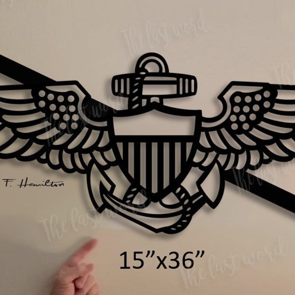 Tailhook Naval Aviator Wings 1XL Silhouette - you earned it...display it!