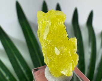 Mini Azufre: Bolivia, Azufre Amarillo, Azufre, Azufre Natural, Azufre Bolivia, soporte gratuito