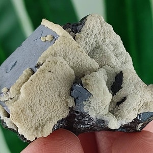 Galena and Calcite from Krushev dol mine,Madan ore field,Rhodope Mts,Smolyan Oblast,Bulgaria, Mineral,Crystal,Home Decor,N13