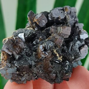 Sphalerite Galena from Borieva mine,Madan ore field,Rhodope Mts,Smolyan Oblast,Bulgaria,Minerals, Crystals, Gemstone, Gemstone,N11