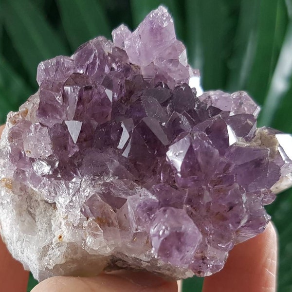 Very nice Purple Amethyst from Brazil,Natural Crystal,Mineral Specimen,Purple Quartz,Amazing color,Amethyst Crystal,Cluster,Home Decor,Stone