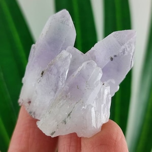 Very nice Amethyst from Djurkovo mine,Laki,Bulgaria,Natural Crystal,Home Decor,Energy Crystal,Cluster,Bulgarian Minerals and Crystals,N54