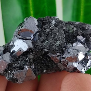 Beautiful Galena with Sphalerite from Krushev dol mine,Madan ore field,Rhodope Mts,Smolyan Oblast,Bulgaria,Minerals, Crystals, Gemstone,N12