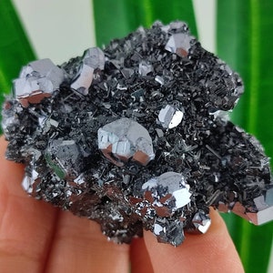 Amazing Galena with Sphalerite from Krushev dol mine,Madan ore field,Rhodope Mts,Smolyan Oblast,Bulgaria,Minerals, Crystals, Gemstone,N13