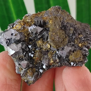 Chalcopyrite with Sphalerite and Galena from Krushev dol mine,Madan ore field,Rhodope Mts,Smolyan Oblast,Bulgaria,Crystal,Stone,N55