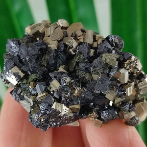 Beautiful Pyrite,Sphalerite from Borieva mine,Madan ore field,Rhodope Mts,Smolyan Oblast, Bulgaria, Minerals,Crystals,Specimens,Galena ,N24